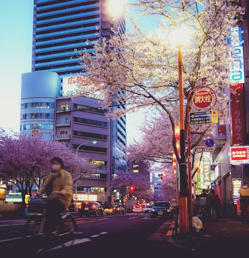 Tokyo (Japan)